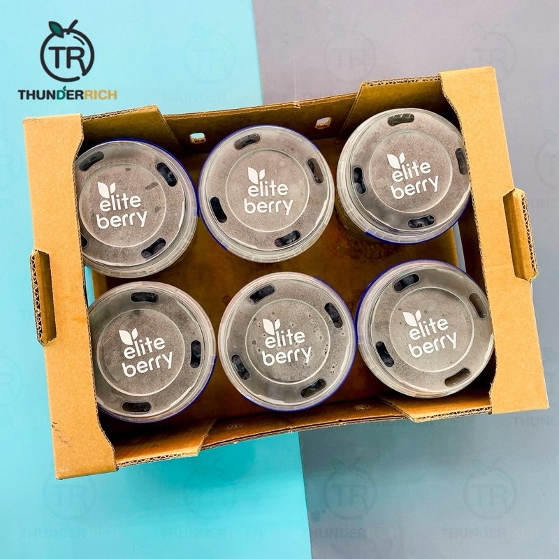 ส่งฟรี‼️สินค้าเข้าใหม่ 17/4/69‼️ Dubai blueberries 🫐นำเข้าจากประเทศดูไบ✈️