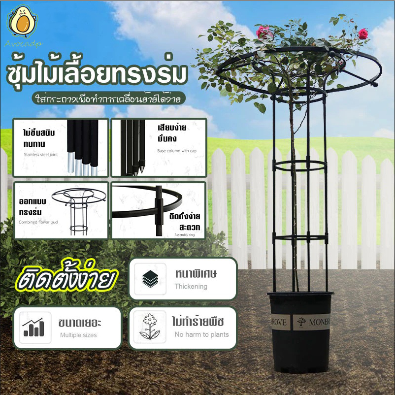 ซุ้มกุหลาบ ซุ้มกุหลาบเลื้อย โครงกุหลาบเลื้อย ซุ้มไม้เลื้อย เหล็กแข็งแรง ท่อเหล็กเคลือบ PE กันสนิม โครงเหล็กดัด