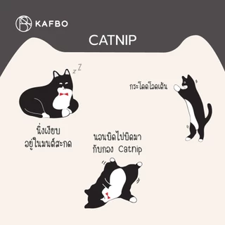 KAFBO Catnip แคทนิป ชนิดซอง สมุนไพรแมว