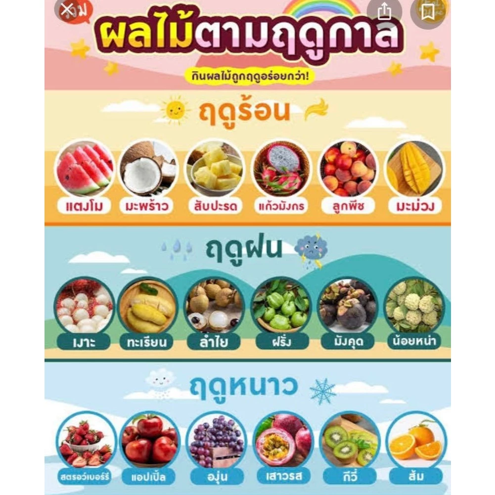 (ขายดี!!!) ผลไม้อบแห้ง ผลไม้แปรรูป หลากรสชาติ (เลือก30ชนิด) ขนม  บ๊วยรวมรส ของกินเล่น (ขนาด40-60 กรัม)ผลไม้เพื่อสุขภาพ thumbnail 8