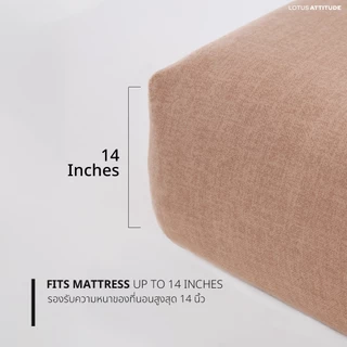 LOTUS ATTITUDE ชุดผ้าปู + ผ้านวม รุ่น NORDEN ELEMENTS นวัตกรรม ICETECH Technology ทุกสัมผัสเย็นยิ่งขึ้น ส่งฟรี