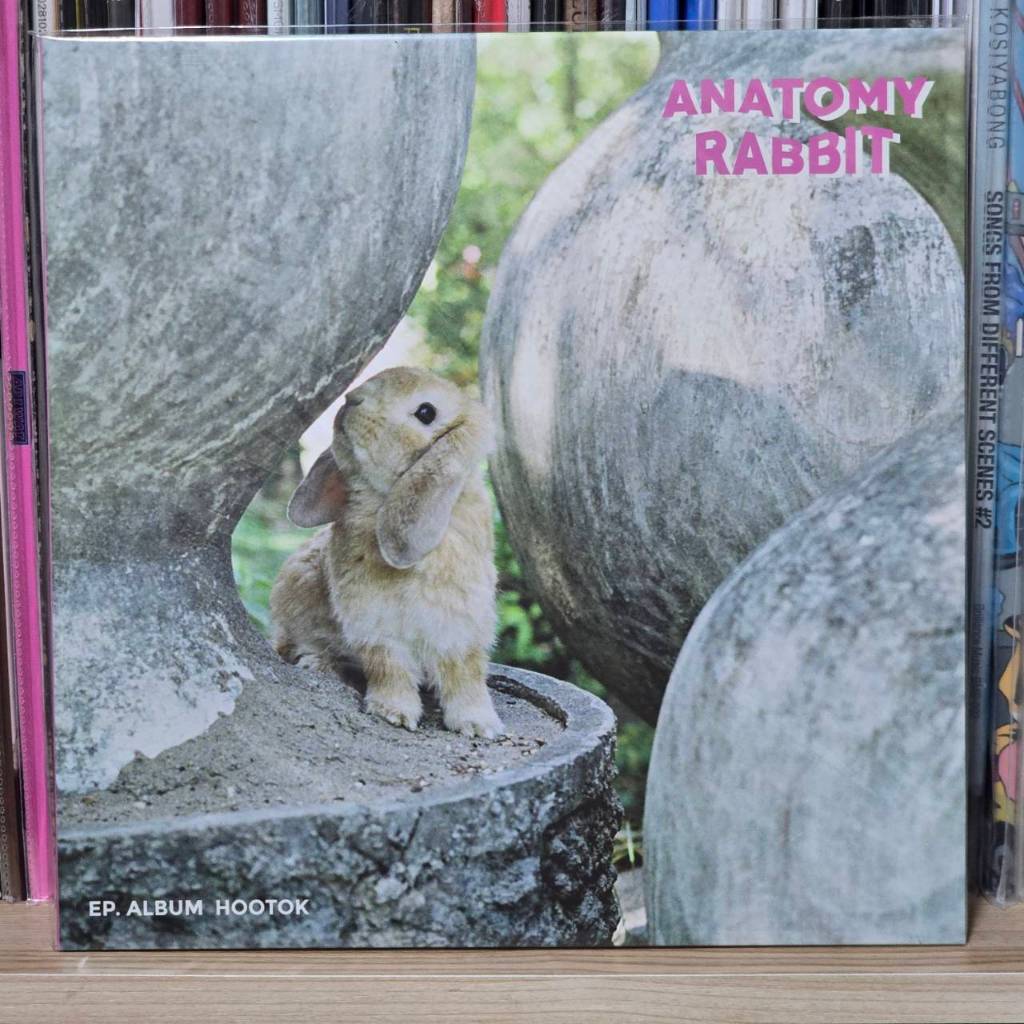 [ร้านค้าจัดส่งไว] แผ่นเสียง ซีลไม่แกะ Anatomy Rabbit : Hootok 10" 1LP Vinyl (Pink&White Mixed Vinyl)