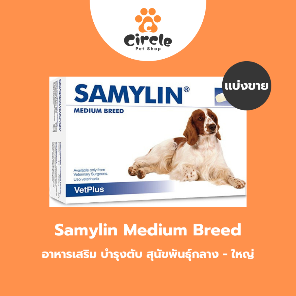 [สินค้าขายดี] Samylin Medium breed อาหารเสริม บำรุงตับ สุนัขพันธุ์กลาง-ใหญ่ ของแท้ฉลากไทย