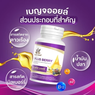 เบญจออยล์ ไอ พลัส เบอร์รี่ 30 แคปซูล แพ็ค 3 กระปุก
