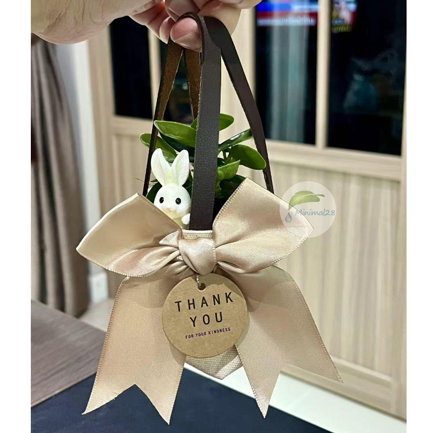 Set ของขวัญ ของชำร่วย ต้นไม้มงคล เลือกต้นไม้ได้ พร้อมอุปกรณ์ตกแต่ง ได้ครบ Set ตามภาพ #Minimal28