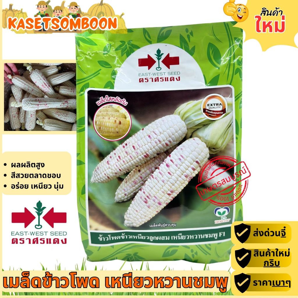 ข้าวโพดศรแดง 5000เมล็ด เมล็ดพันธุ์ เหนียวหวานชมพู ตราศรแดง