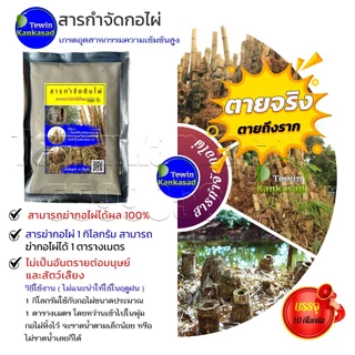 สารกำจัดกอไผ่ ฆ่ากอไผ่ตายยันราก ไม่เป็นอันตรายต่อคนและสัตว์เลี้ยงใช้เป็นยากำจัดต้นไผ่ ได้ผล 100%