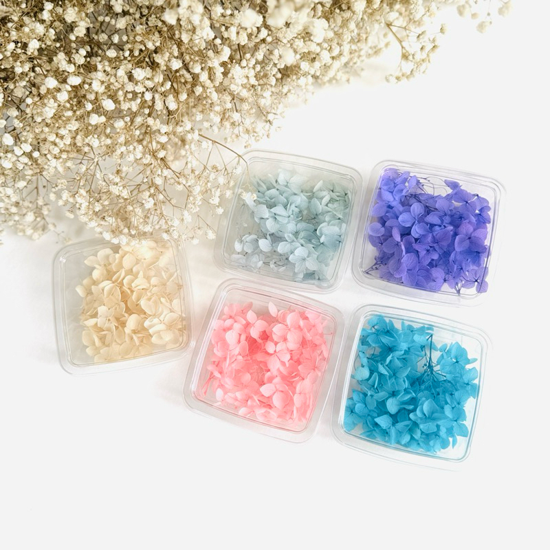 𝓁𝒾𝓁𝒾 ☆ ดอกไฮเดรนเยียแห้ง สำหรับงาน DIY ดอกไม้จริง Dry Flower