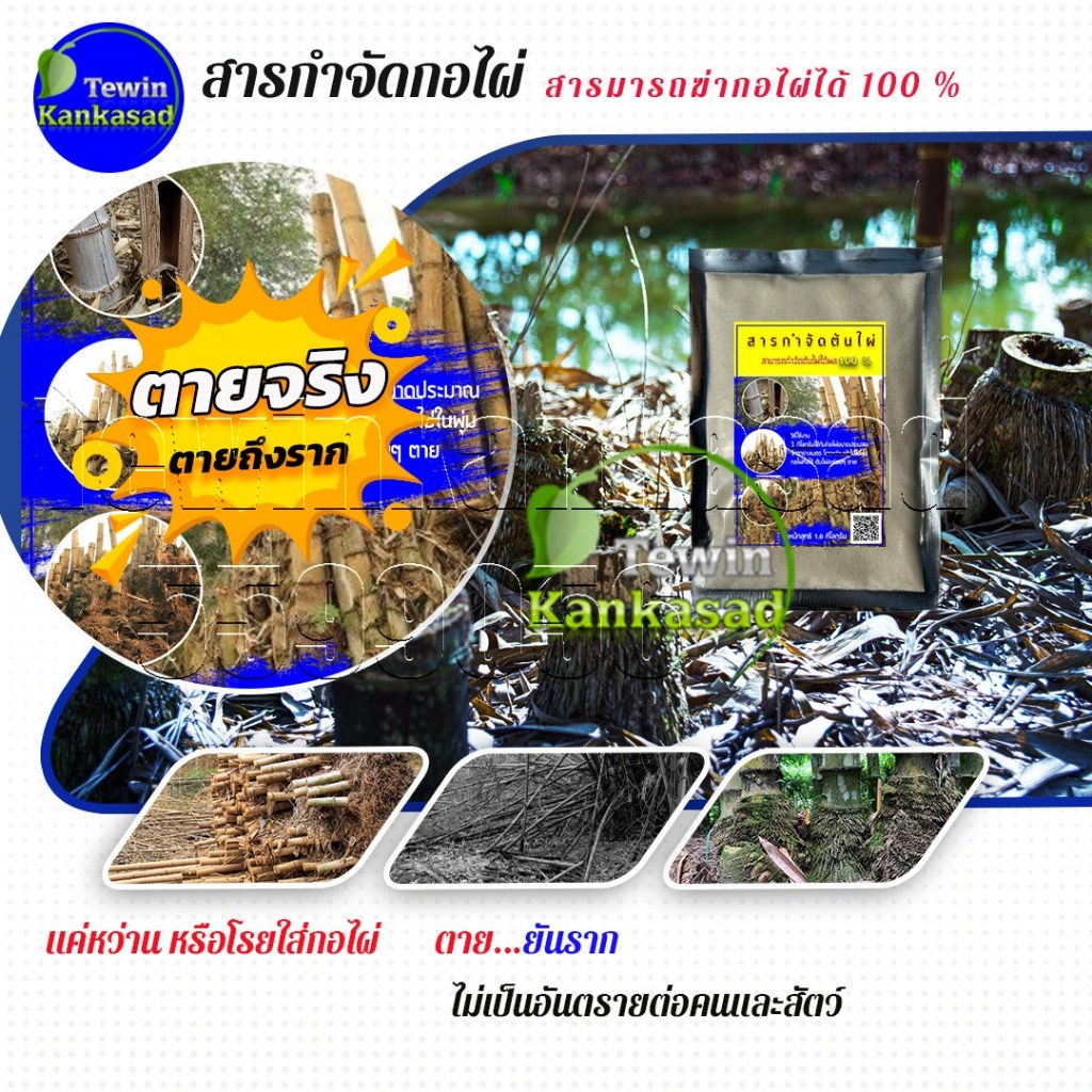 สารกำจัดกอไผ่ สามารถฆ่ากอไผ่ตายยันรากได้ผล 100% และใช้เป็นยาฆ่าหญ้า วัชพืช ได้ผลจริง  บรรจุ 1.0 กก.
