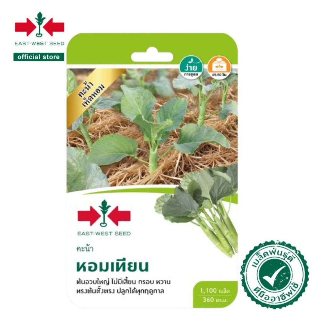ศรแดง เมล็ดพันธุ์คะน้าหอมเทียน (East-West Seed) เมล็ดพันธุ์ ผักสวนครัว ตราศรแดง