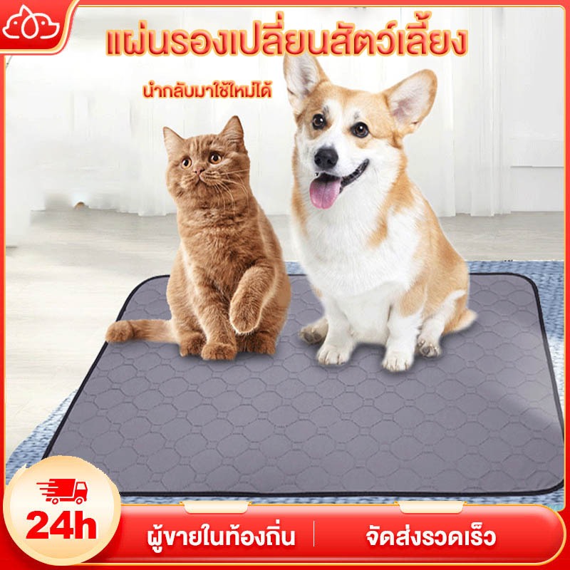 แผ่นรองฉี่หมา แผ่นฝึกขับถ่าย ซักได้ แผ่น สามารถใช้ซ้ำได้