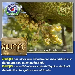 ขนาด 10 กรัม อมฤต (อะมิโน) เทพวัฒนา สารเพิ่มพลังานพืชโมเลกุลใหม่ ชนิดผง