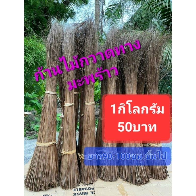 《พร้อมส่ง》ก้านมะพร้าวแห้ง ก้านมะพร้าว ก้านไม้กวาด สูง90-100ซม.ขึ้นไป