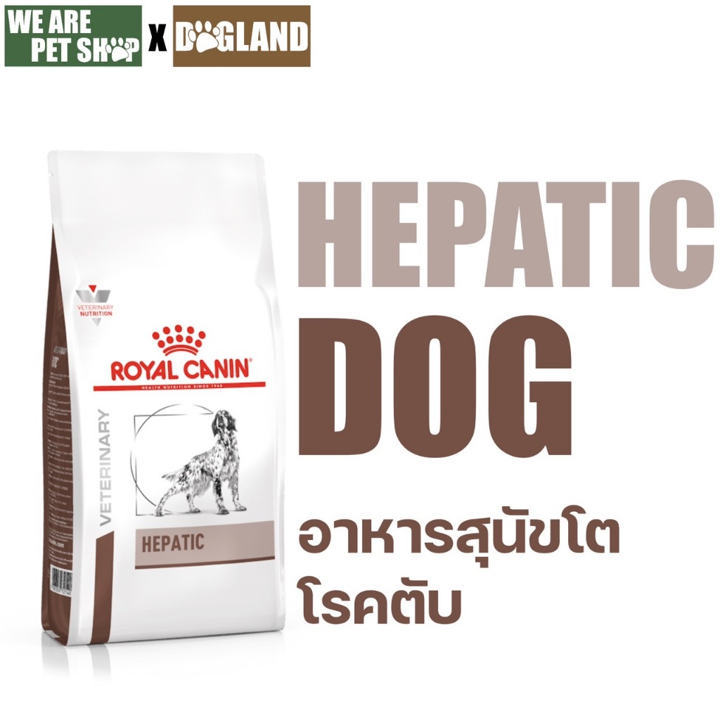 Royal Canin Vet Dog โรคตับ HEPATIC