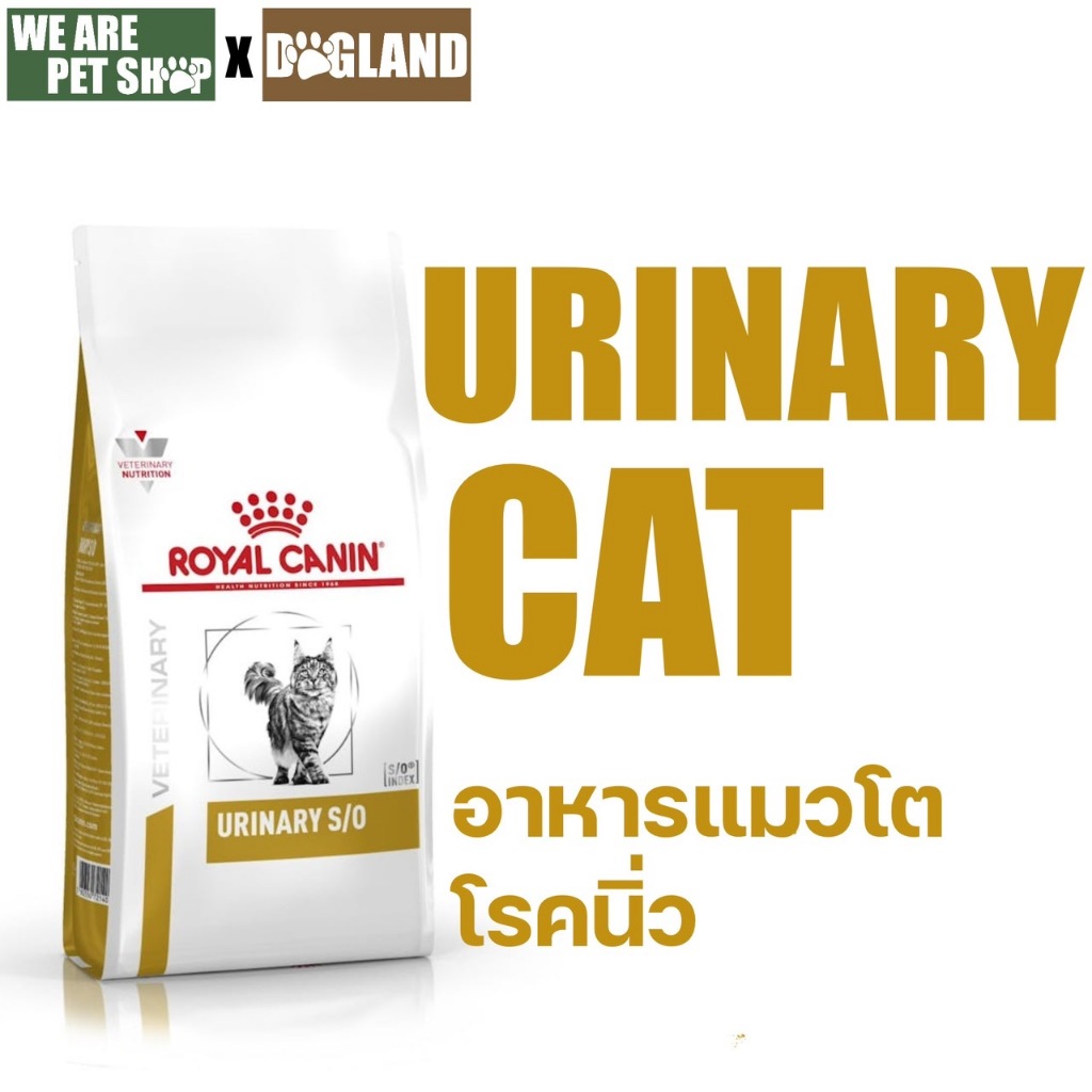 Royal Canin Vet Cat โรคนิ่ว ชนิดเม็ด URINARY S/O
