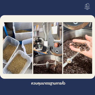 กาแฟ Cold brew สกัดเย็น พร้อมดื่ม สูตรกลมกล่อม หอมช็อคโกแล็ต ละมุน ดื่มง่าย ไม่ผสมน้ำตาล อาราบิก้า