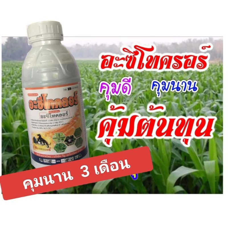 อะซีโทคลอร์(ตราเสือ1ลิตร)ยาคุมหญ้าในไร่ข้าวโพด ผักชี