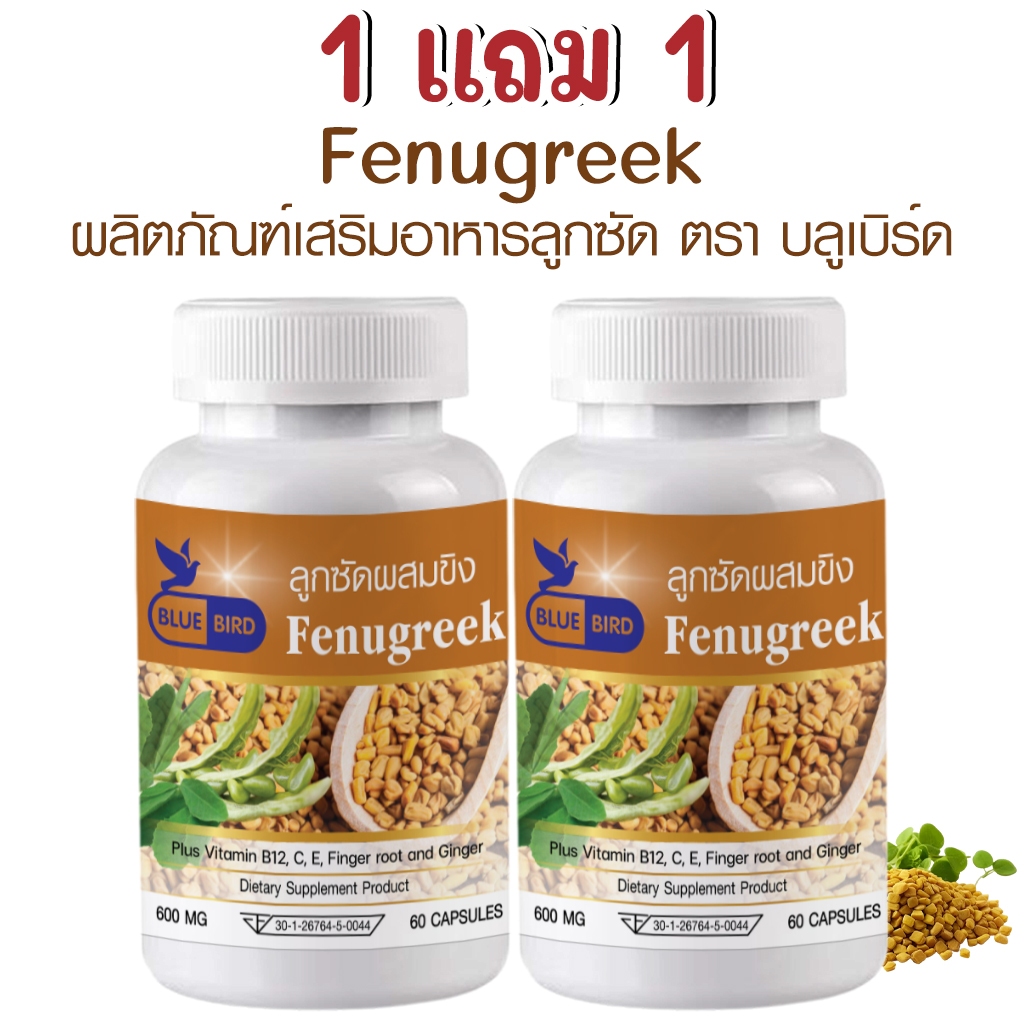 [1แถม1] ลูกซัดผสมขิง Fenugreek ตรา บลูเบิร์ด ขนาด 600 มิลลิกรัม 60 แคปซูล