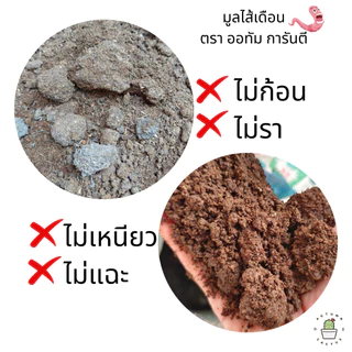 🐛มูลไส้เดือน จากธรรมชาติ แท้ 100% ยกกระสอบ 5kg / 19kg🐛