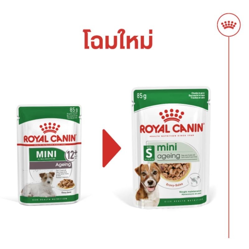 Royal Canin Mini Ageing (12 ซอง)อาหารสุนัข อาหารเปียกในน้ำเกรวี่ สุนัขแก่พันธุ์เล็ก