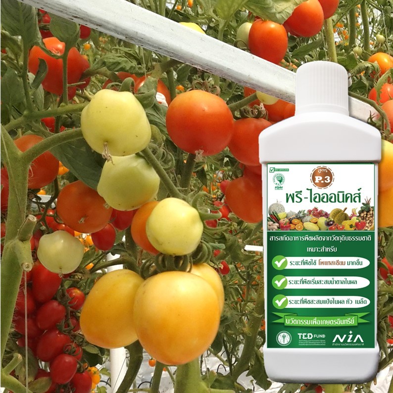 สารสกัดอาหารพืช (สูตร P.3) ทดแทน ปุ๋ยโพแทสเซียมเคมี สำหรับปลูกพืชอินทรีย์ รับรองมาตรฐานอินทรีย์ IFOAM - รูปที่ 6