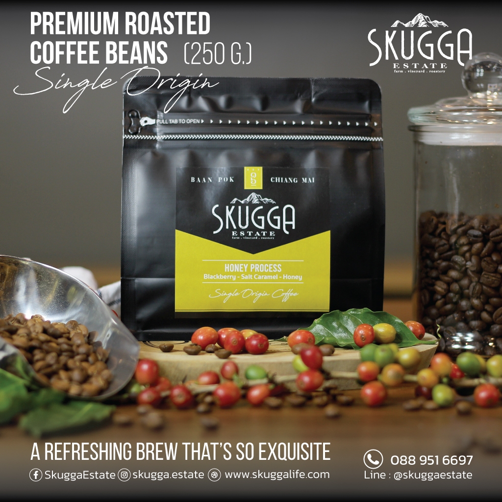 เมล็ดกาแฟคั่วกลาง Honey Process l Skugga Single  Origin Coffee -  Honey Process