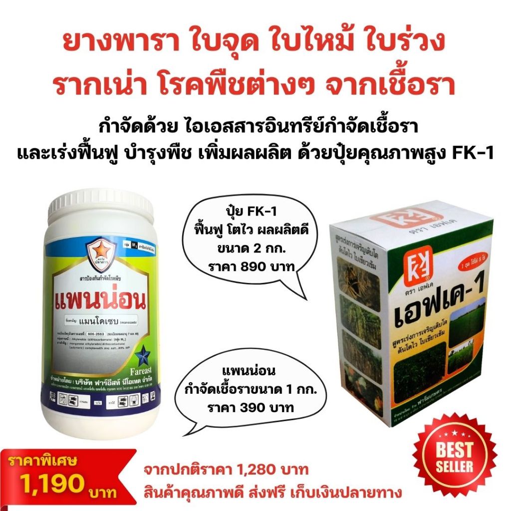 ยางพารา เป็นโรคจากเชื้อรา ใบไหม้ ใบจุด ใบร่วง รากเน่า ใช้แพนน่อน หยุดโรค+FK-1 ฟื้นฟู โตไว ผลผลิตดี