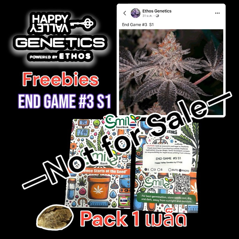 เมล็ดกัญชา END GAME #3 S1 (Fem) - ETHOS (Not For Sale)