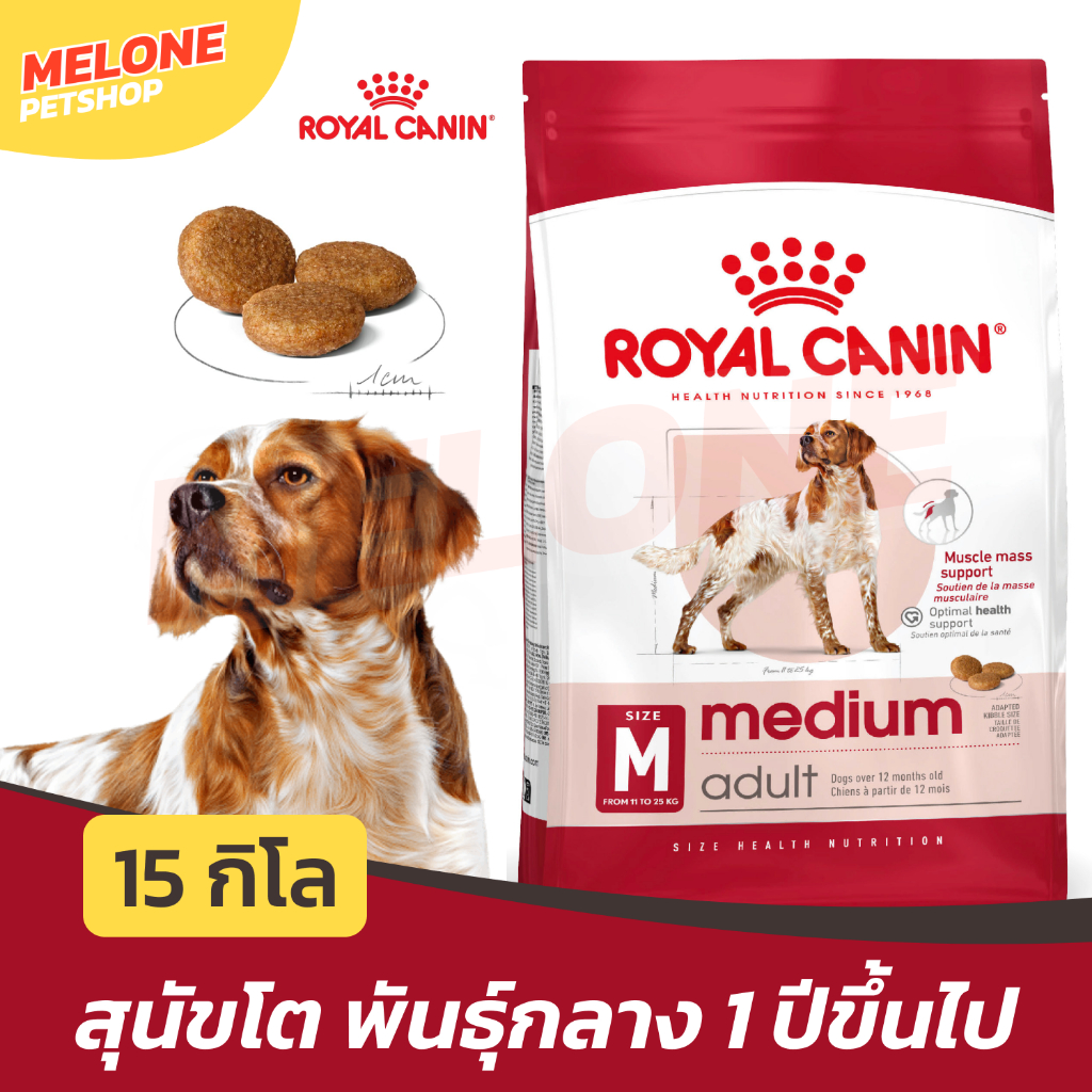 Royal Canin Medium Adult รอยัลคานิน อาหาร สุนัขโต พันธุ์กลาง อายุ 12 เดือน - 7 ปี ขนาด 15kg