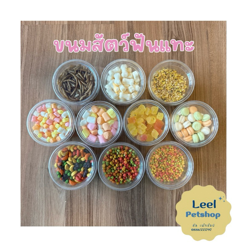 ขนมสำหรับสัตว์ฟันแทะ ชูการ์ แฮมสเตอร์ กระรอก