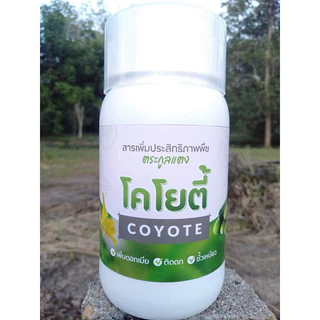 แปลงเพศ พืชตระกูลแตง แตงกวา แตงร้าน มะระ โคโยตี้ ขนาด200 ccสารเสริมประสิทธิภาพในพืชตระกูลแตง