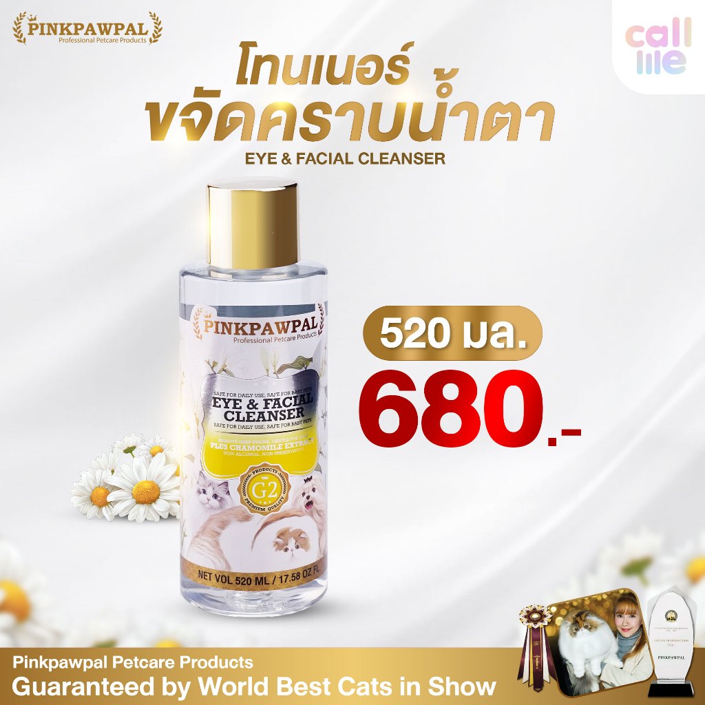 รูปภาพ 5