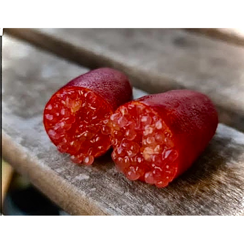 มะนาวคาเวียร์ Finger Lime มะนาวนิ้วมือ เลมอนคาร์เวียร์ ต้นใหญ่แข็งแรง พร้อมติดผล