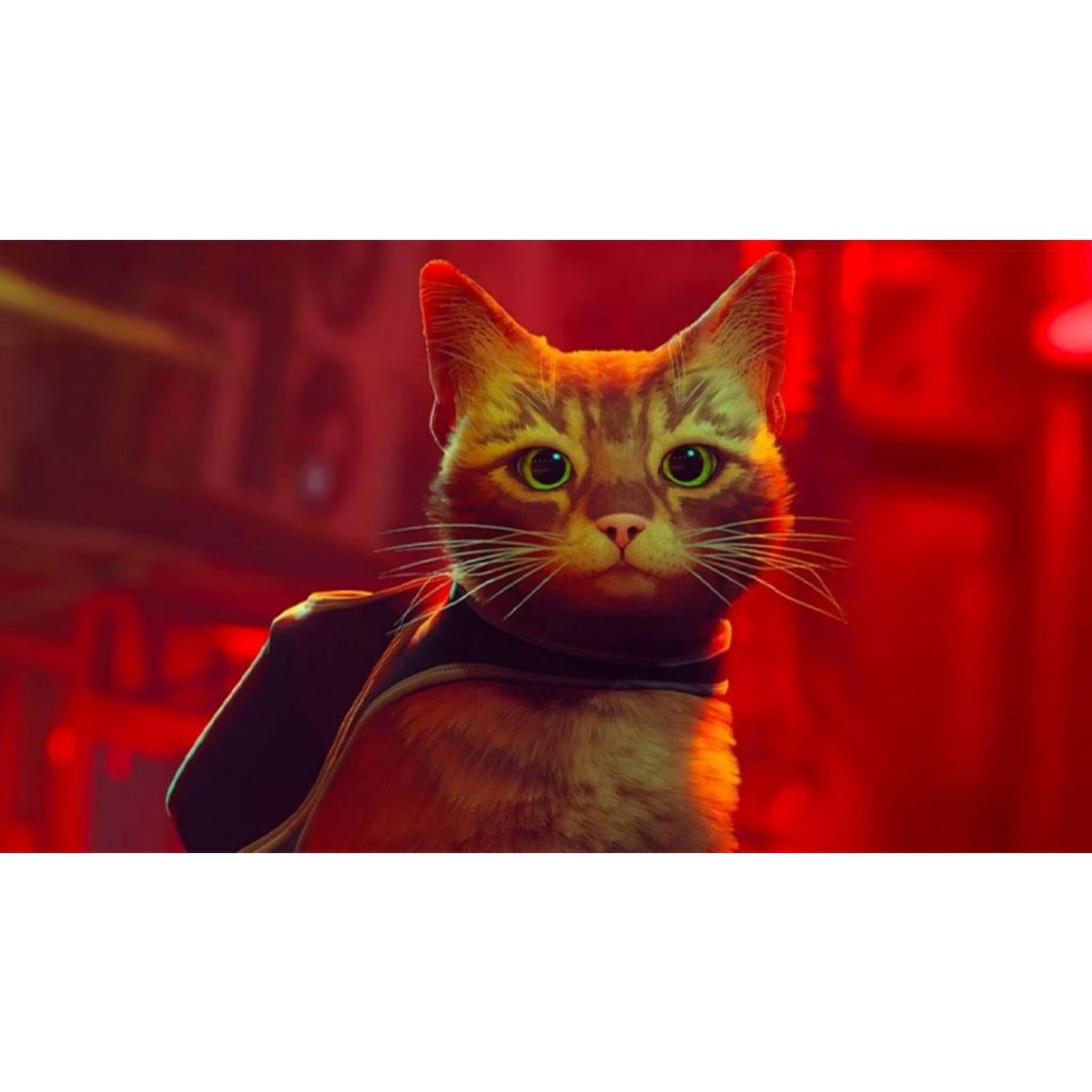 Nintendo Switch : NS Stray (Eng)