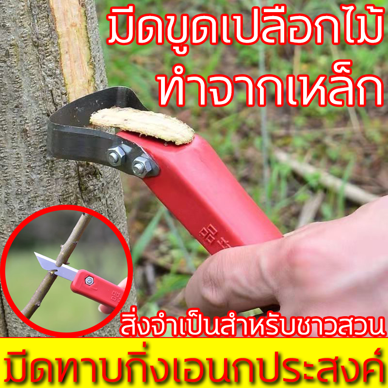 การต่อกิ่งต้นไม้ผลไม้ ทาบกิ่งพืช มีดตอนกิ่ง ผลิตจากเหล็กกล้านำเข้า มีดทาบกิ่ง มีความคมทน คมนาน มีดทาบกิ่งเอนกประสงค์