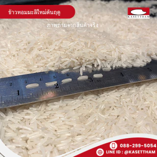 25 กก. ข้าวหอมมะลิใหม่ต้นฤดูปี69คัดพิเศษ100%เม็ดสวยไม่มีหัก ข้าวสารตราส้มเขียวหวาน ราคาโรงสี ส่งฟรี N