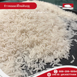 25 กก. ข้าวหอมมะลิใหม่ต้นฤดูปี69คัดพิเศษ100%เม็ดสวยไม่มีหัก ข้าวสารตราส้มเขียวหวาน ราคาโรงสี ส่งฟรี N