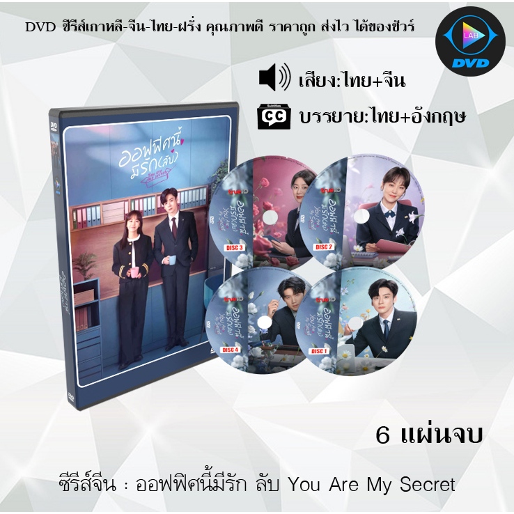 ซีรีส์จีน ออฟฟิศนี้มีรัก ลับ You Are My Secret : 6 แผ่นจบ (พากย์ไทย+ซับไทย)