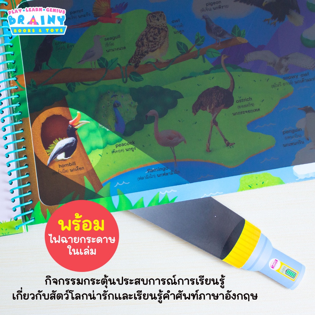 BrainyToys หนังสือส่องไฟฉายท่องโลกกว้าง 100 First Animals หาเพื่อนของฉันเจอไหม? - รูปที่ 6