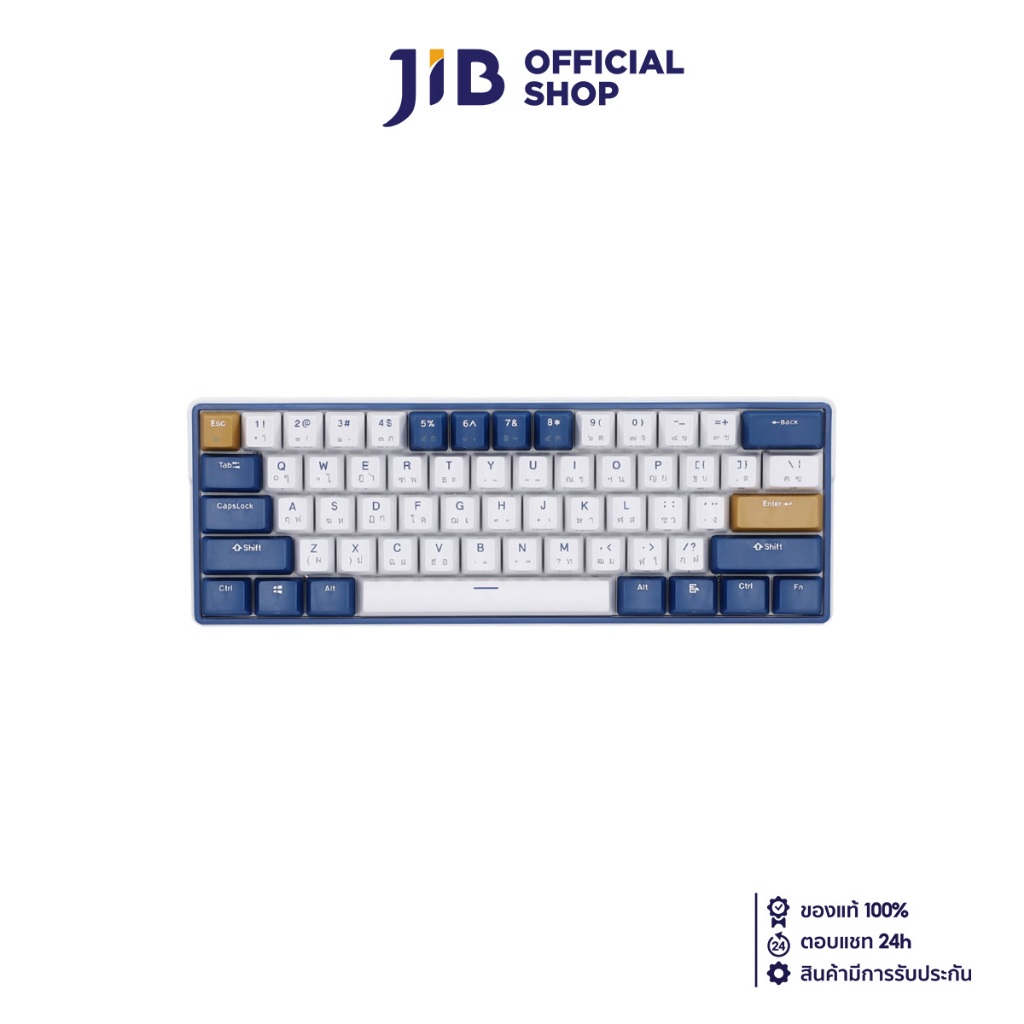 WIRELESS KEYBOARD (คีย์บอร์ดไร้สาย) ROYAL KLUDGE RK61 PLUS (WHITE-BLUE) (RK SKY CYAN SWITCH - RGB LE