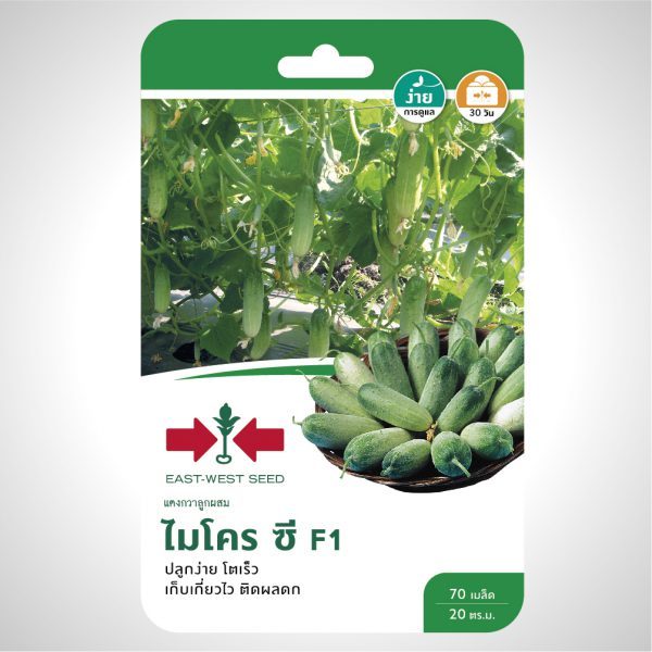 แตงกวา ไมโครซี  SD/F1-012 ผักซองศรแดง F1 เมล็ดพันธุ์ลูกผสม เมล็ดพันธุ์ผัก ผักสวนครัว ผักศรแดง