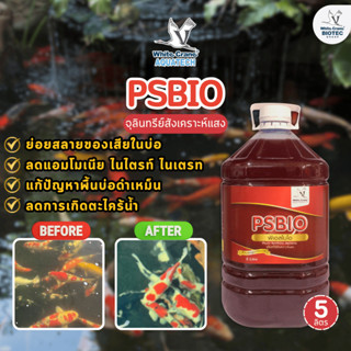 ีPSBIO พีเอสไบโอ จุลินทรีย์กำจัดของเสียหรือเมือกที่สัตว์น้ำ …