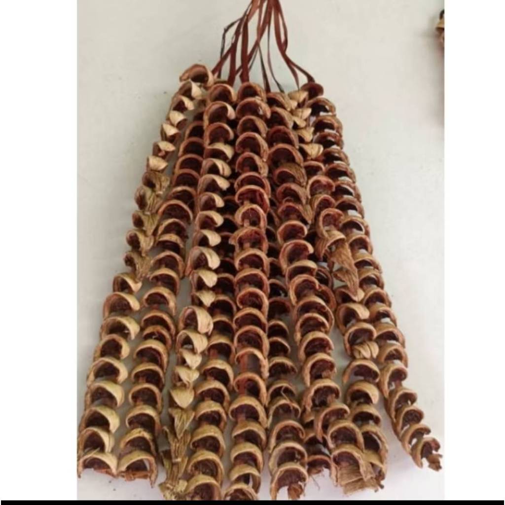 หมากเสียบ หมากสาย หมากโบราณ (1 มัดมี 10 เส้น) ของมีพร้อมส่ง - รูปที่ 2