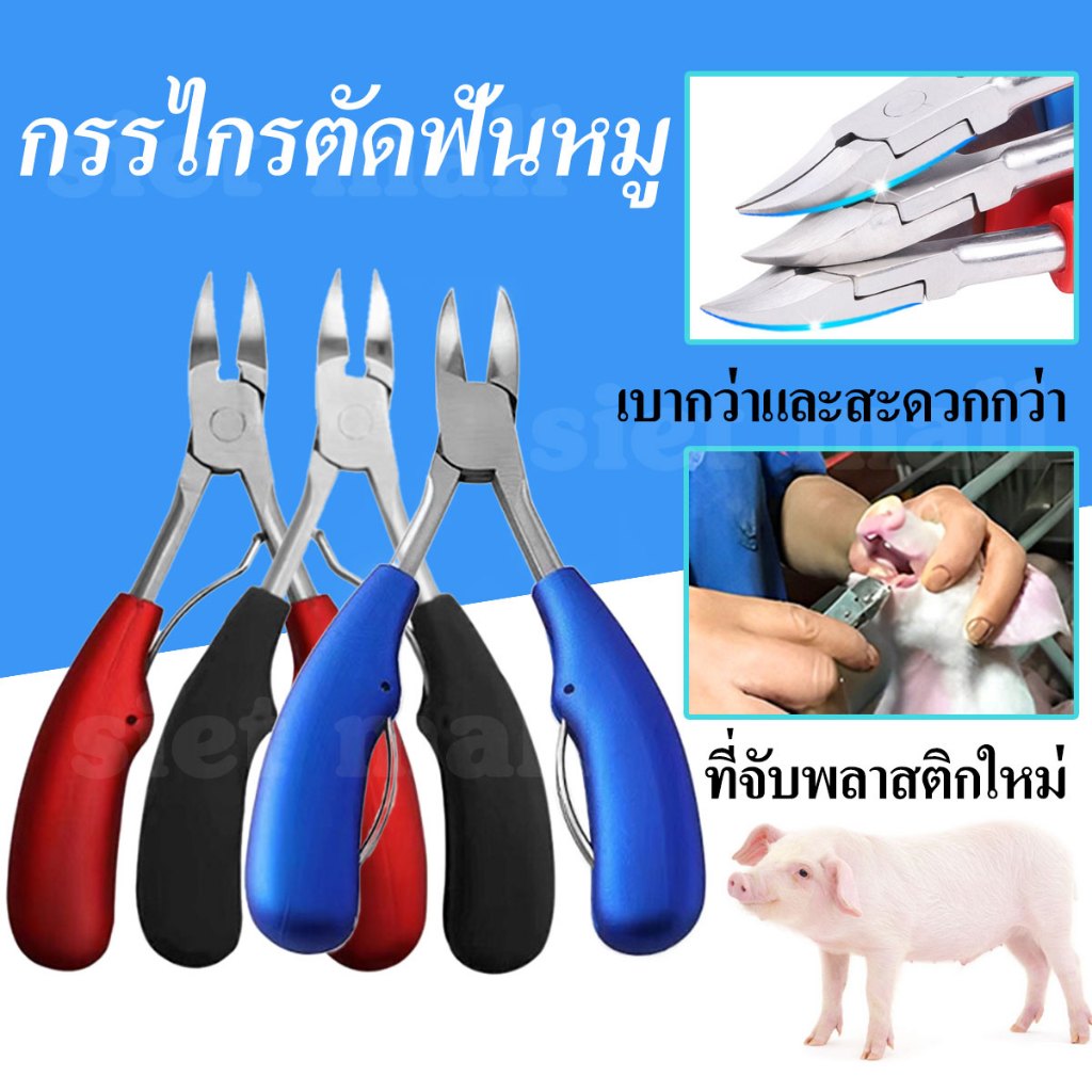 เครื่องมือลูกหมู กรรไกรตัดเขี้ยวหมู กรรไกรตัดฟัน กรรไกรตัดฟันหมู คีมตัดเขี้ยวหมู