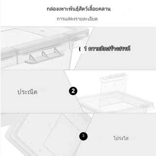 กล่องแมงมุม กล่องเลี้ยงสัตว์เล็ก สัตว์เลื้อยคลาน สัตว์เล็ก ผสมพันธุ์สดกล่อง สำหรับ แมงมุม ตุ๊กแก ฮอร์นฟรอก ตะขาบ แมงป่อง