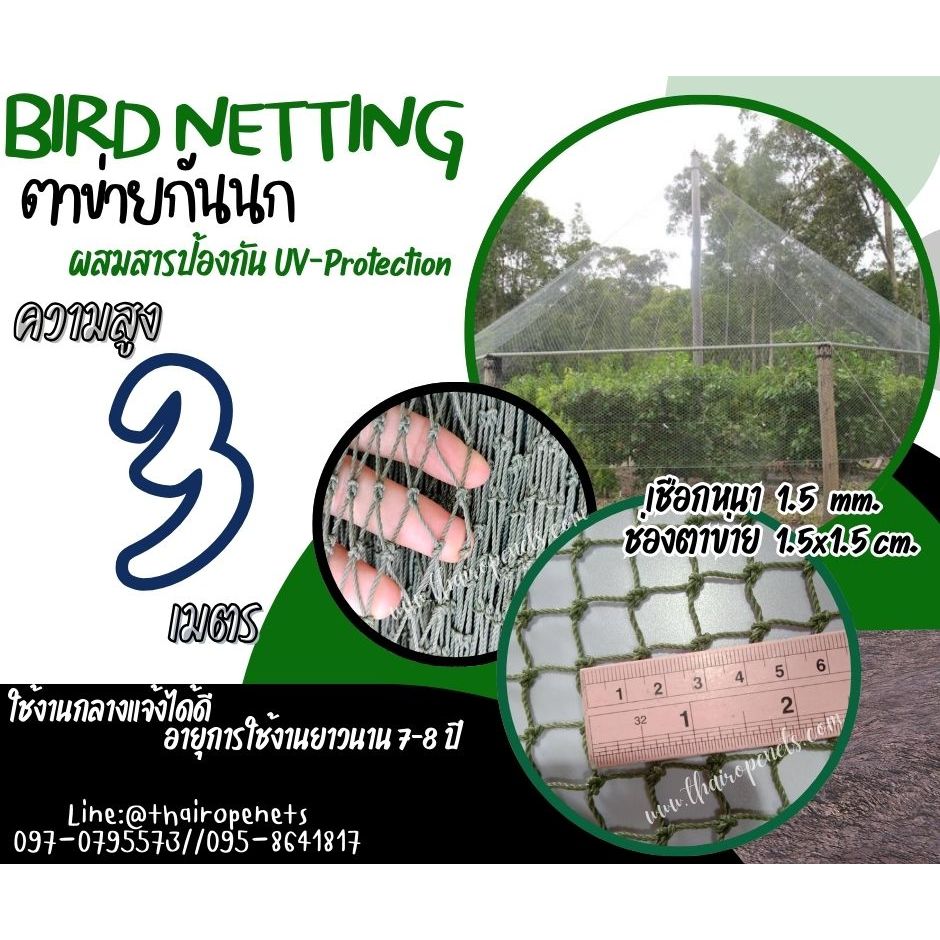 ตาข่ายกันนกเข้าบ้านและสวน bird netting ความสูง 3 เมตร หนา1.5 มิล ช่องตา1.5x1.5 cm.สีเขียวขี้ม้า กดเลือกความยาวตามต้องการ