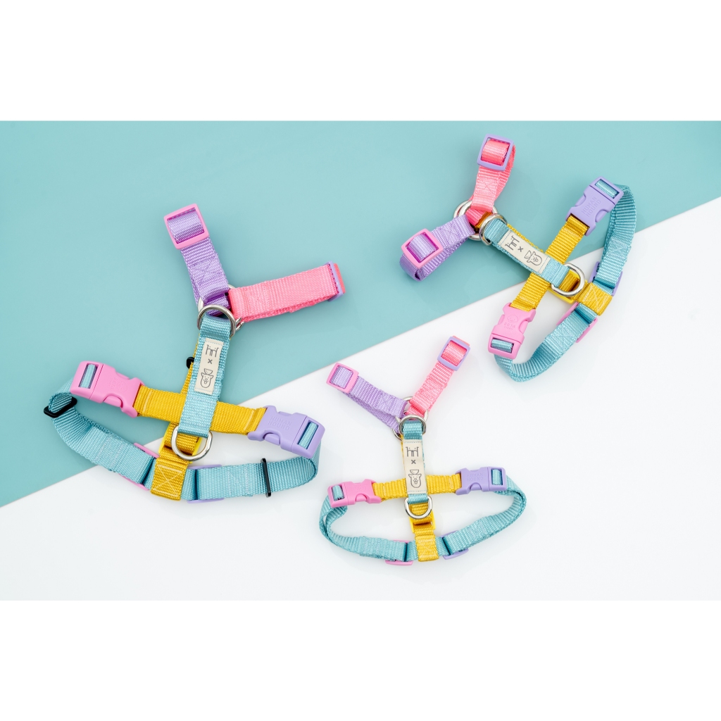 H&H x Gluta Story for Beta - ชุดรัดอก The Harnesses (ไม่รวมสายจูง)