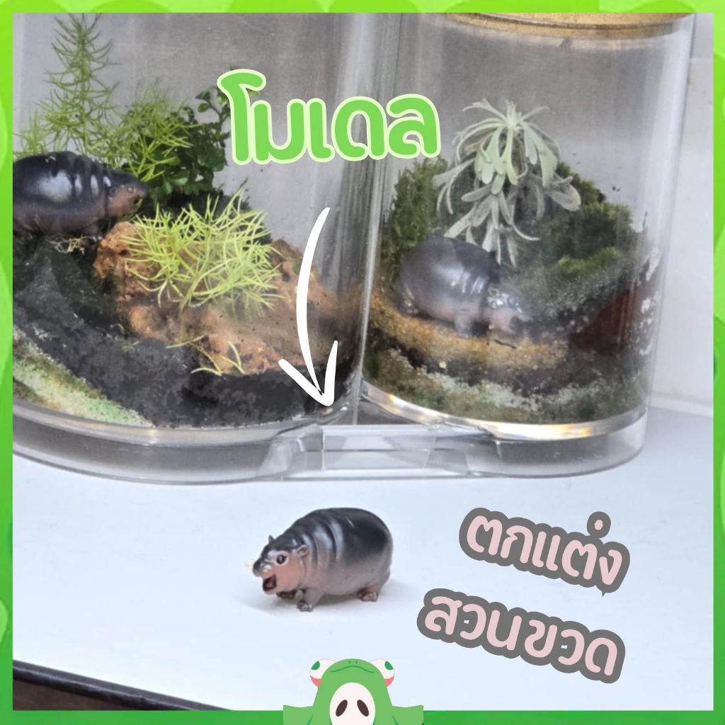* พร้อมส่ง * โมเดล ลูกฮิปโป ตกแต่งสวนขวด