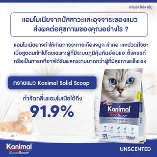 [20621] Kanimal Solid Scoop Odour Block Cat Litter ทรายแมวภูเขาไฟ สูตรกำจัดแอมโมเนีย บรรจุ 10 กิโลกรัม (12ลิตร)