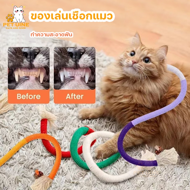 PET UINE-D8 ของเล่นเชือกแมว กัดสนุก เคี้ยวสบาย เชือกฝ่ายธรรมชาติ ทําความสะอาดฟัน ผลมาทาทาบิดึงดูด มี4สี ของเล่นแมว